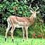 Kruger Park Lodge Unit No. 543