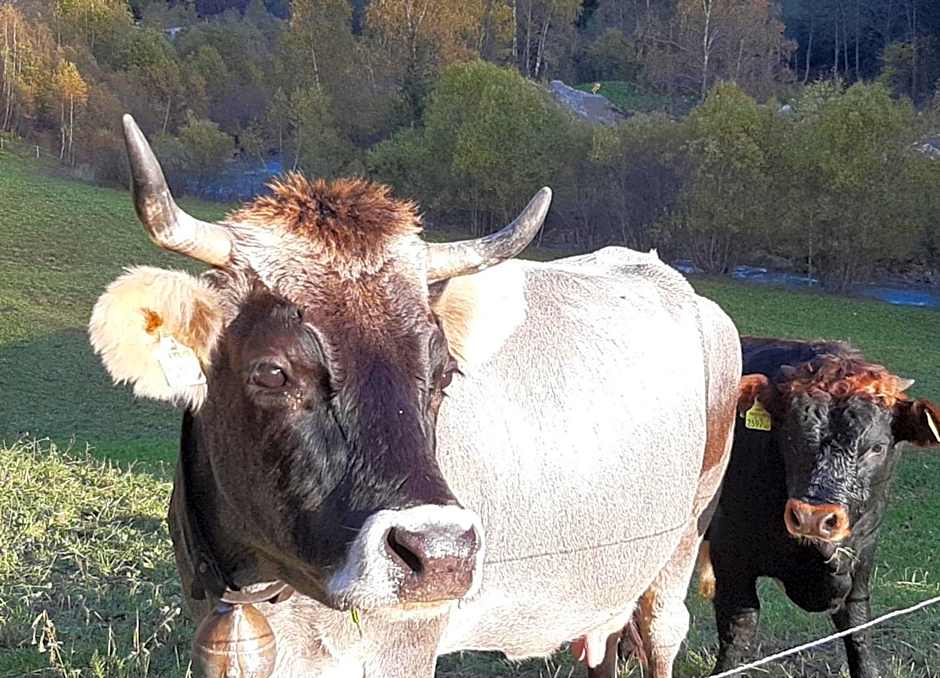 Hotel Buckelhof - See - only 20 min from Ischgl