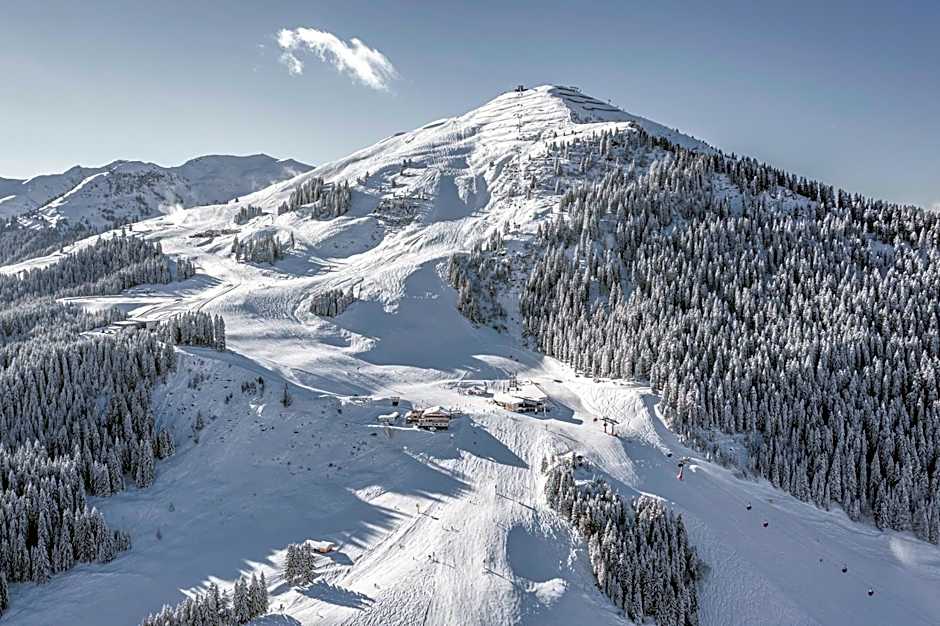 Hotel Sommerer - 100m to Ski Lift & 5 Min Walk to Hinterglemm Centre