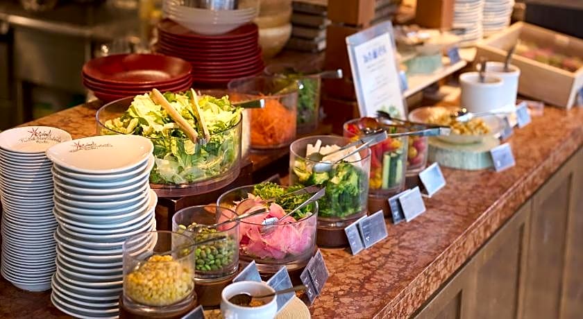 Hotel Resol Akihabara