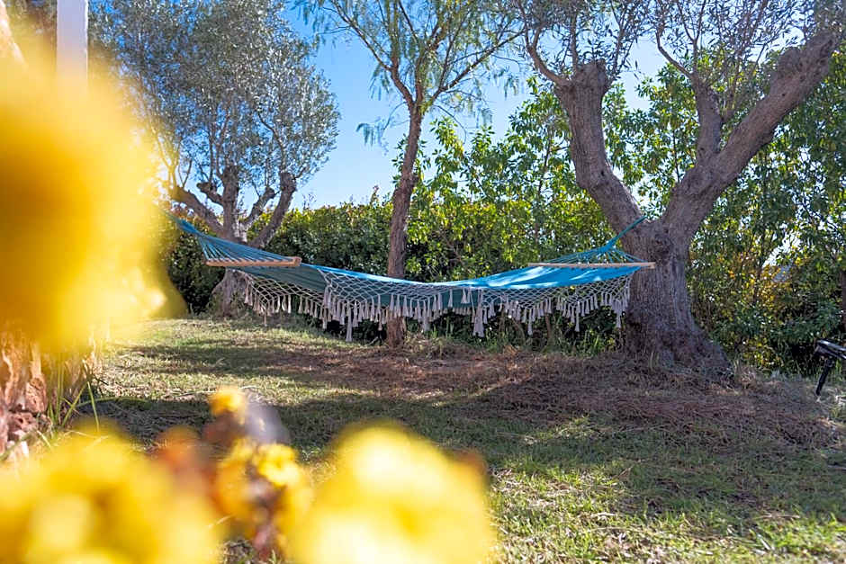 Gato Preto de Silves - Adults Only