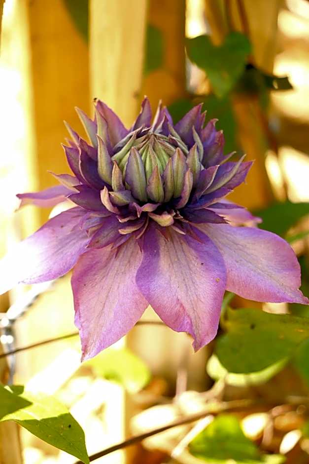 Hotel Restaurant de Loenermark