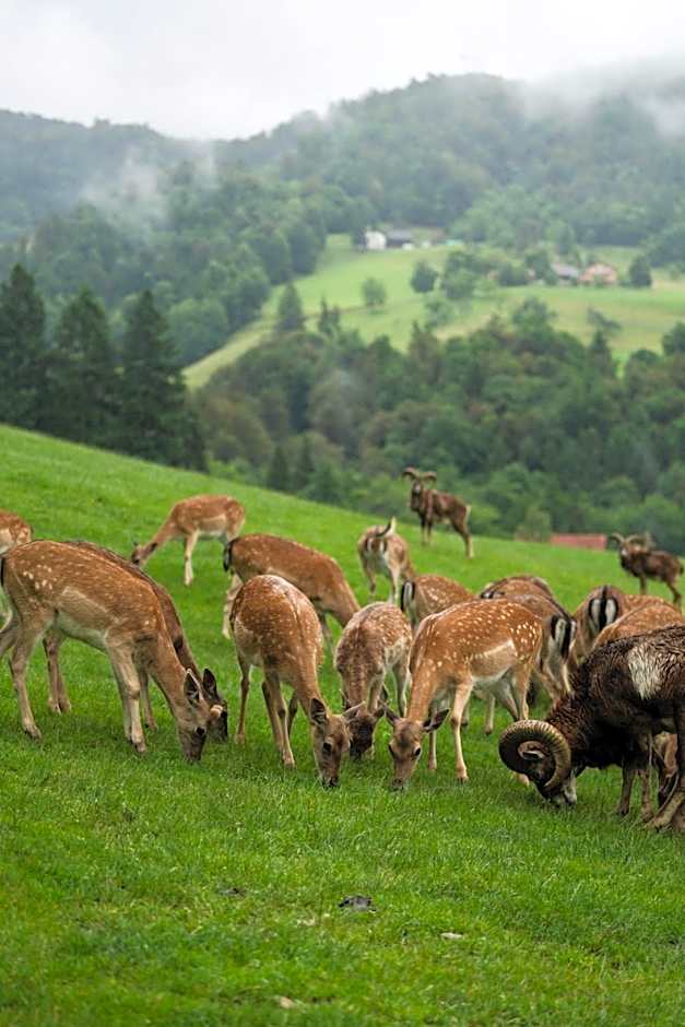 Guest House Pod Grebenom