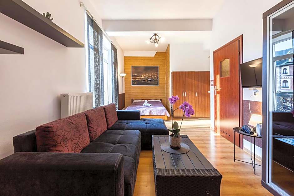 Brzoza w centrum Zakopanego