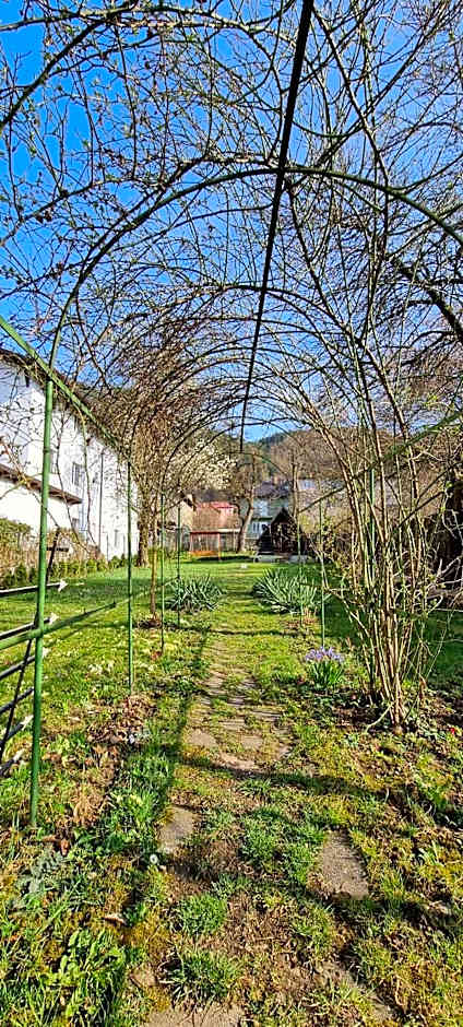 Happy Mood Apartments