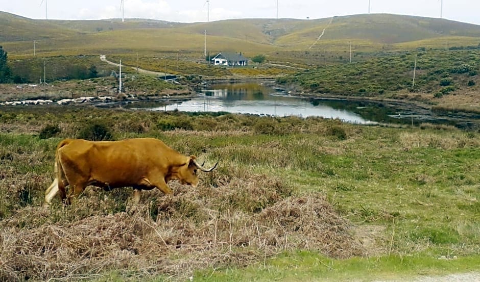Lago da Garça Guesthouse