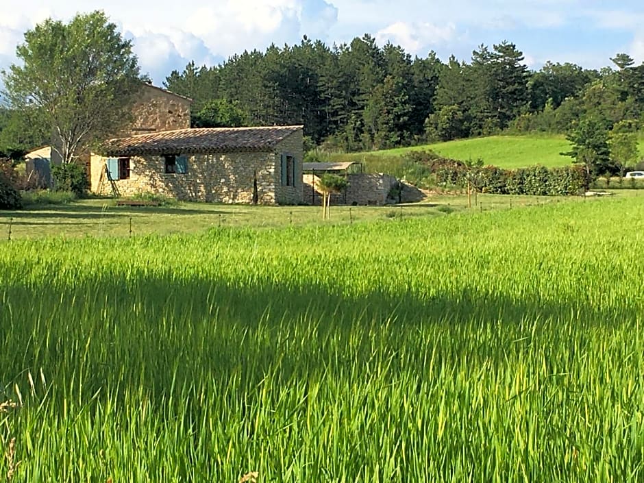 Le Jas du Mont Ventoux