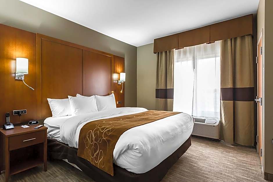 Comfort Suites University