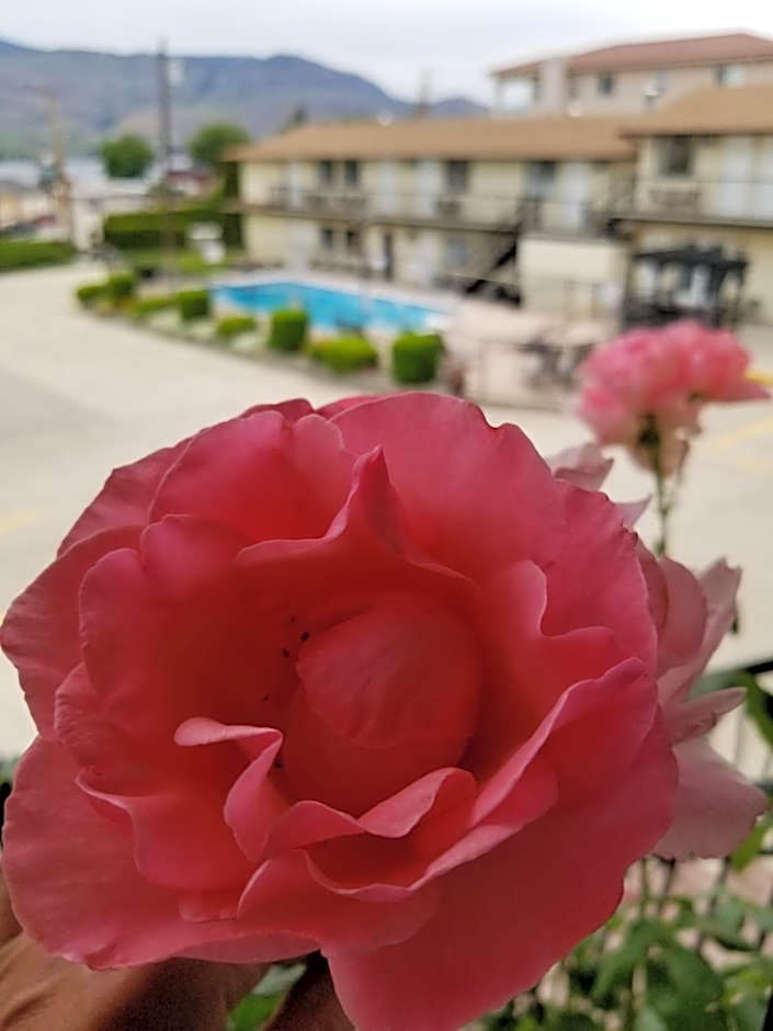 Osoyoos Lakeview Inn & Suites