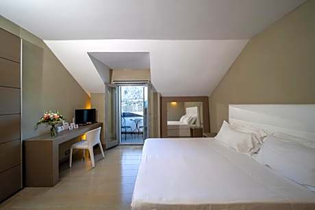 Double or Twin Room with Garden View