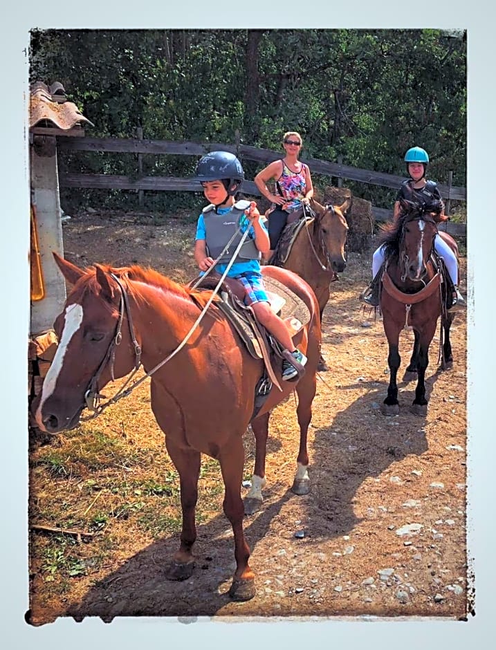 Bed and Breakfast Balli coi Lupi