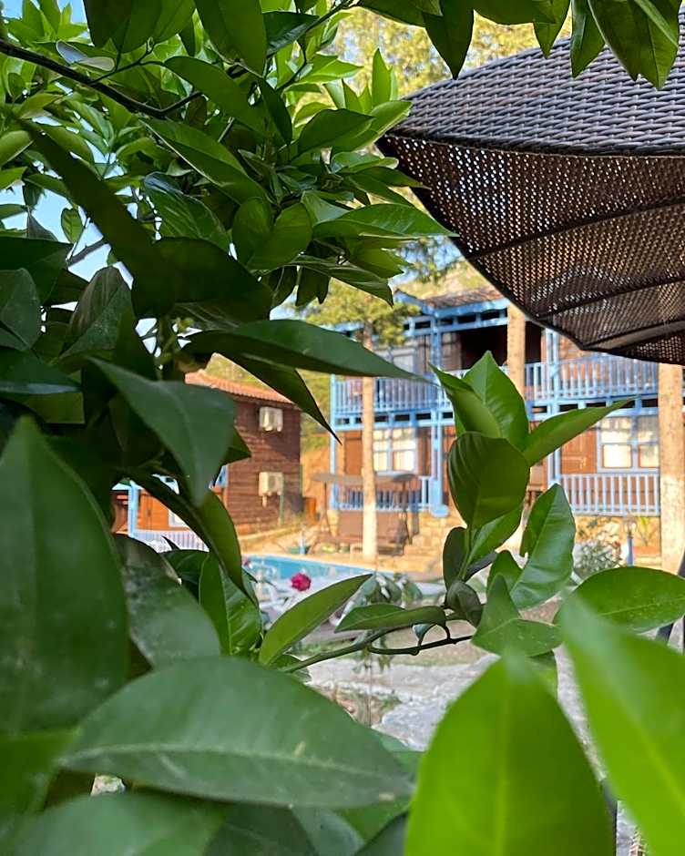 Olympos Route 66 Pansiyon