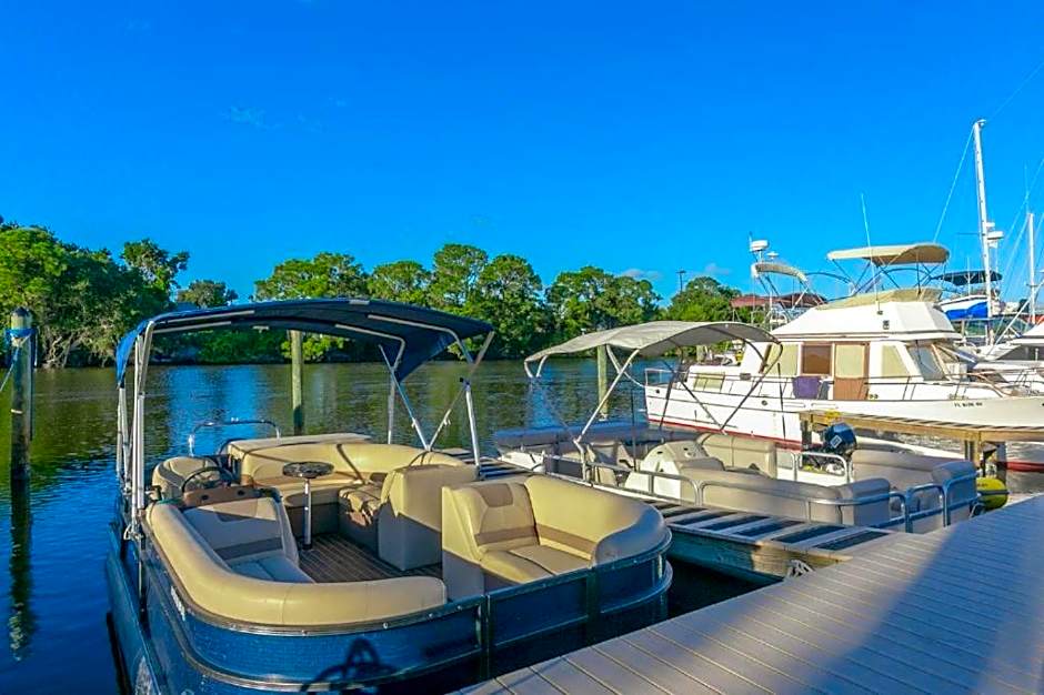 Dolphins Vacation Rental