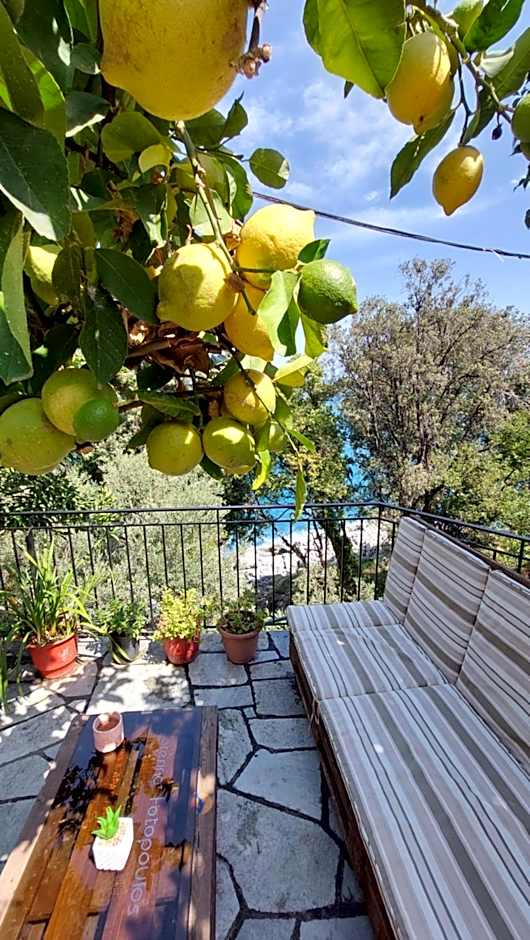 SunRiseStudiosPapanero