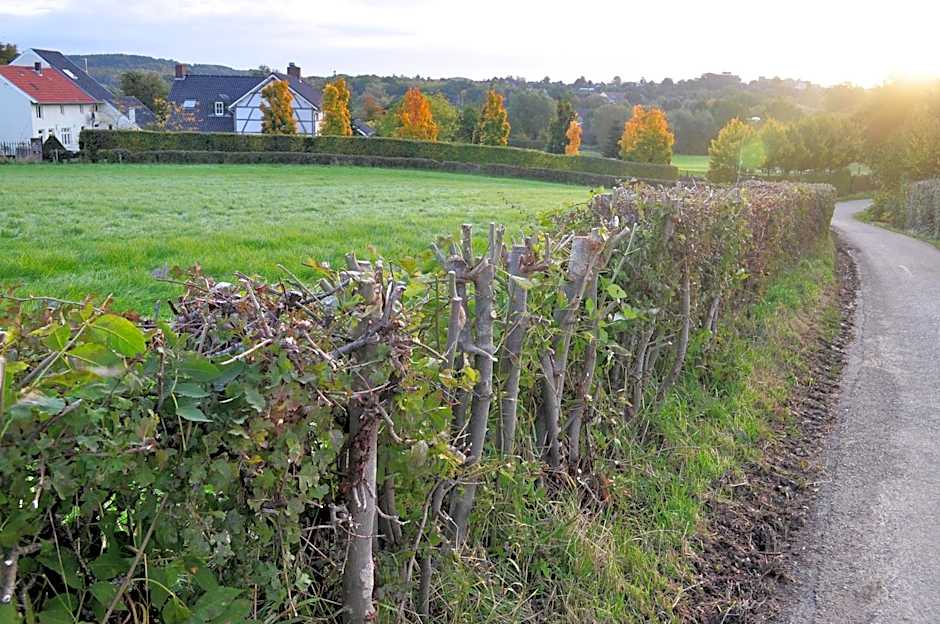 Auberge A gen Kirk B&B