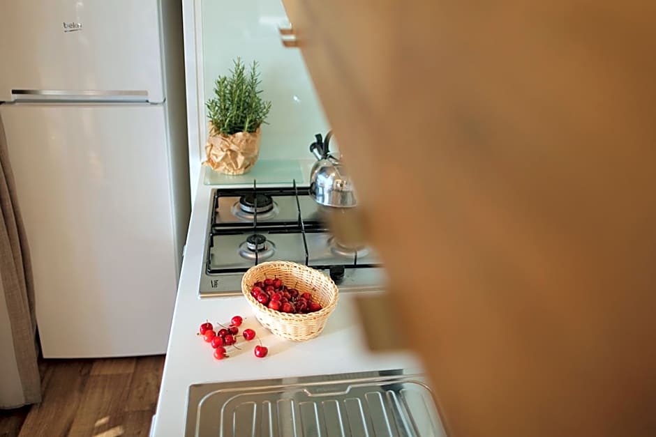 hu Montescudaio village