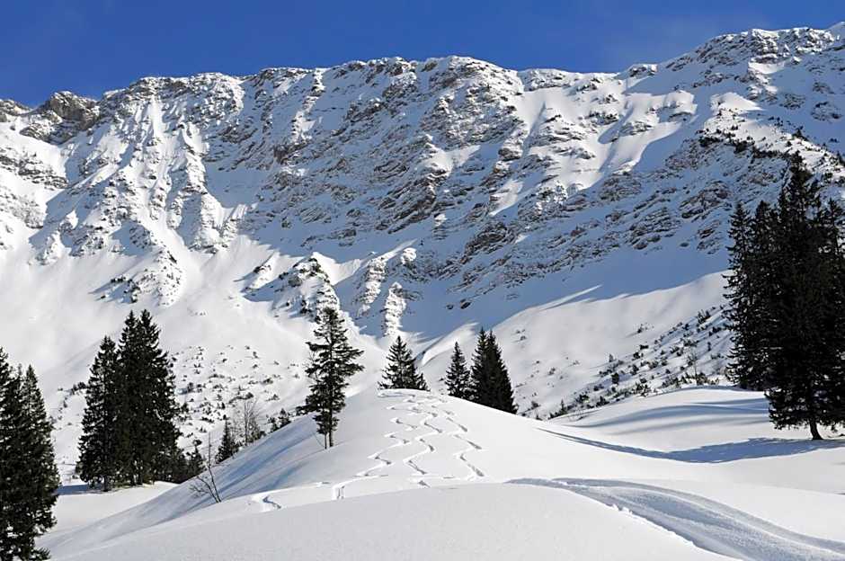 Hotel Garni Malerwinkl