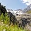 Pension Dangl - Glacier Rock