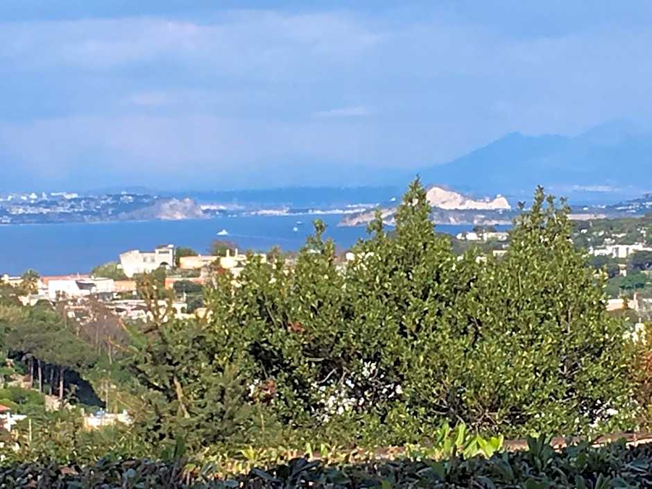 Poggio Aragosta Hotel & Spa