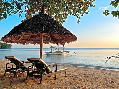 Easy Diving And Beach Resort