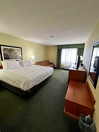 Suite-1 King Bed Non-Smoking Sofabed Kitchenette Dining Area Microwave And Fridge Full Breakfast