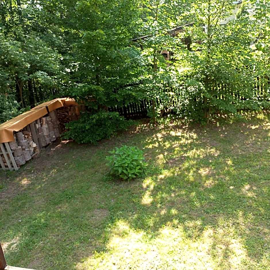 Chata u tří borovic