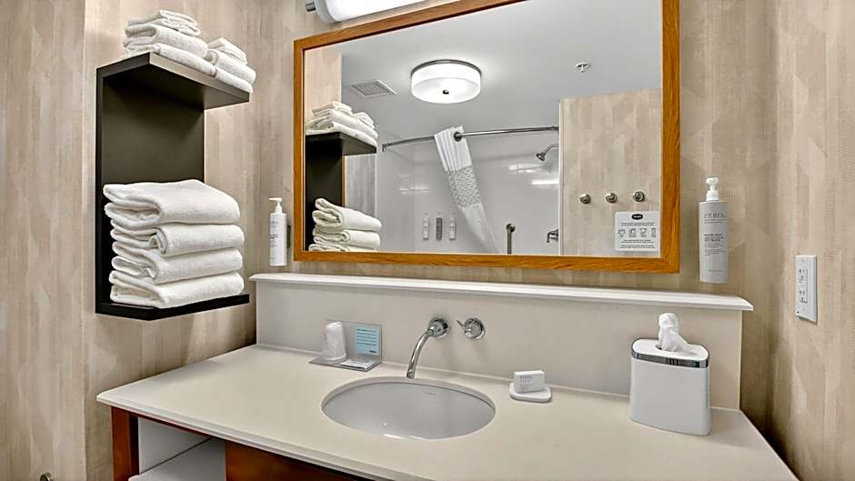 Hampton Inn By Hilton & Suites Chippewa Falls