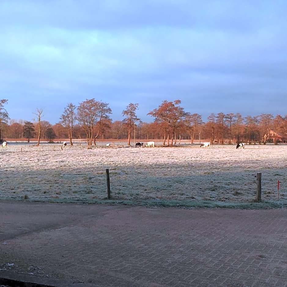 Bed & Breakfast El Manso