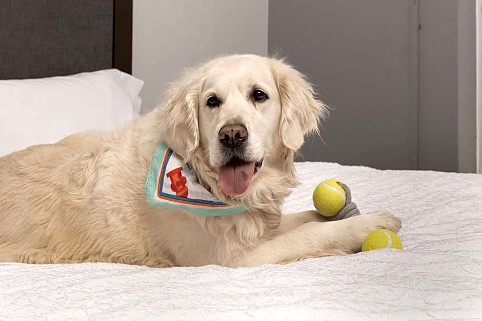 Hampton Inn By Hilton & Suites Rapid City Rushmore, SD