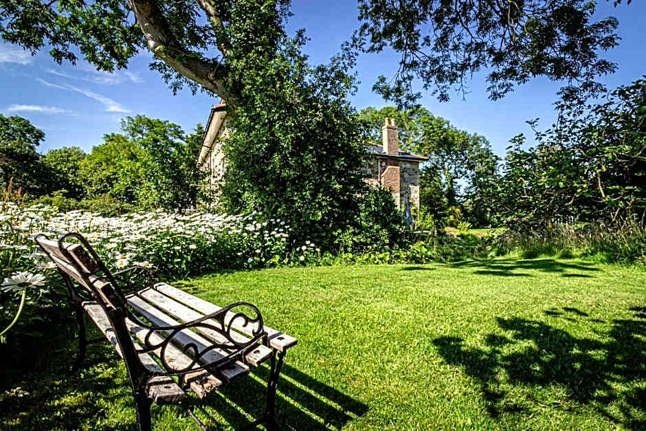 Cosy Wolf Bed & Breakfast