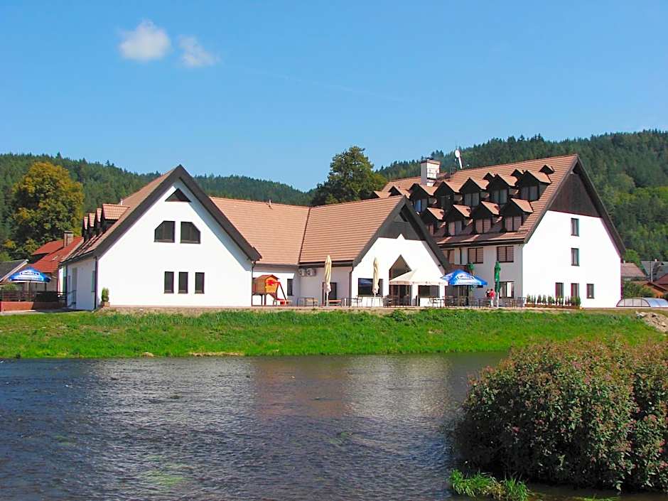 Hotel Vír
