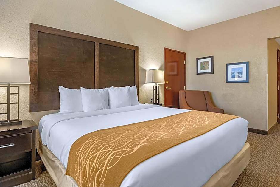 Comfort Inn & Suites Allen Park - Dearborn