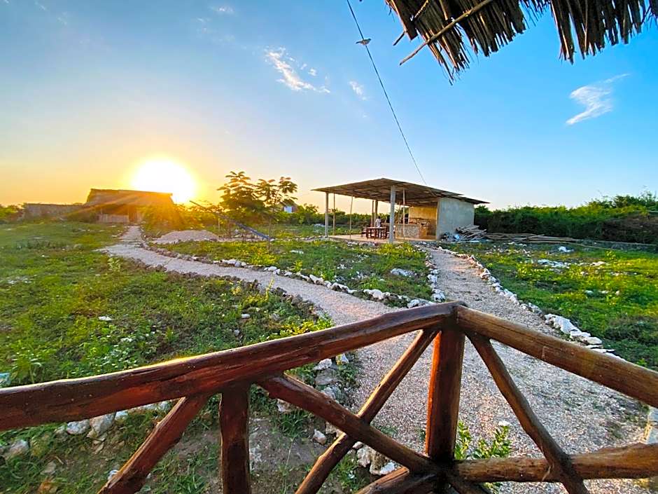 Habibis Bottle House