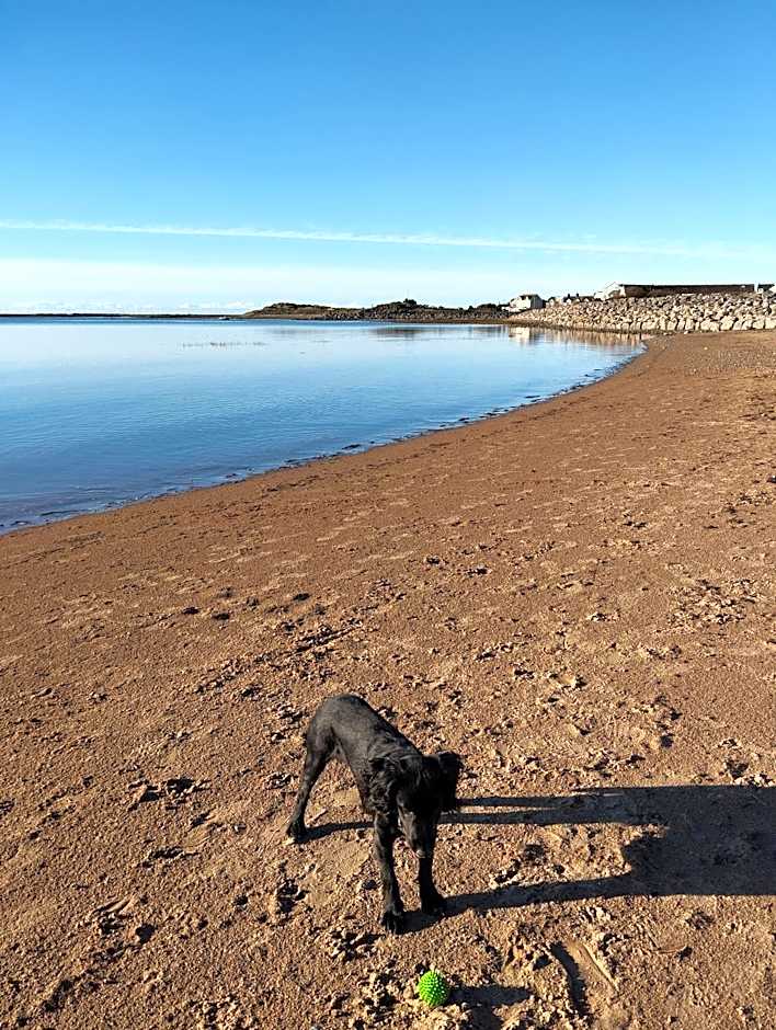 Mawson Retreat Dog Friendly Static Caravan