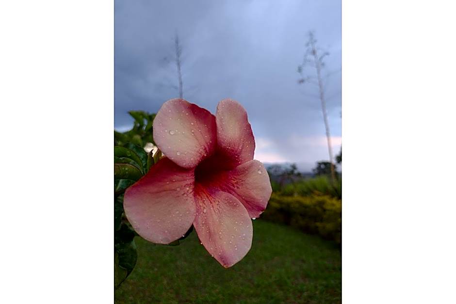 Pousada Chalé Terra Viva