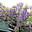 Toyoko Inn Tokyo Chofu Keio-sen Fuda-eki