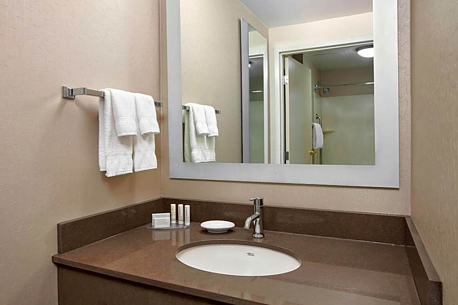 SpringHill Suites by Marriott Chicago Schaumburg/Woodfield Mall