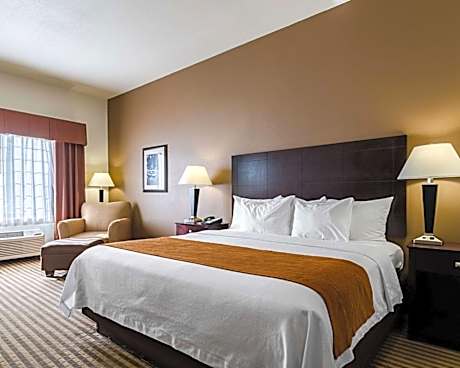 1 King Bed Nonsmoking Accessible