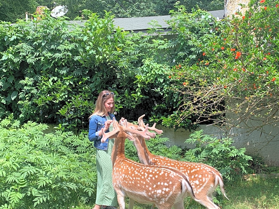 Polonezköy Country Club