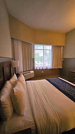 Superior Queen Room - Non Smoking