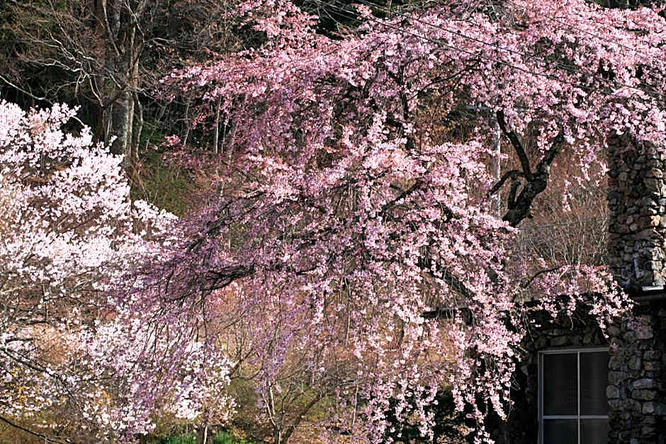 Nukumorino-yado Komanoyu