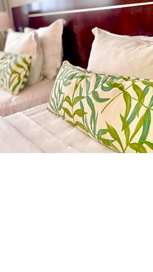 Manaus Hotéis Millennium