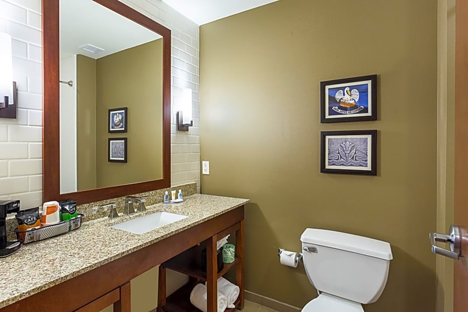 Comfort Inn & Suites Zachary