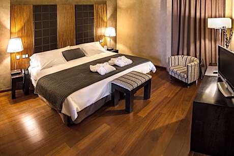 Double Room with Spa Access