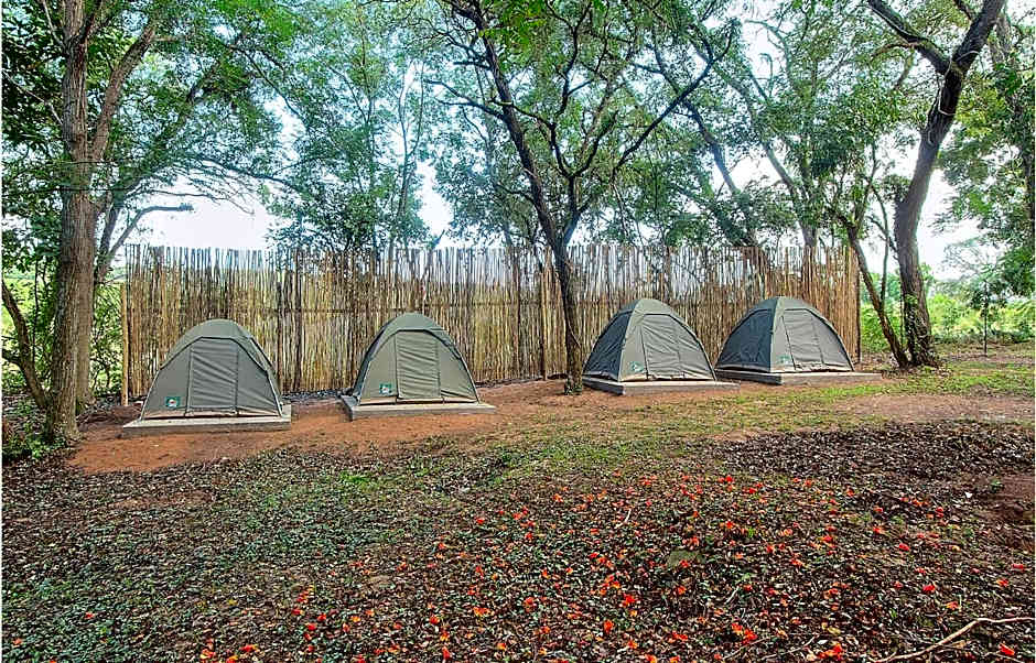 Kruger Adventure Lodge