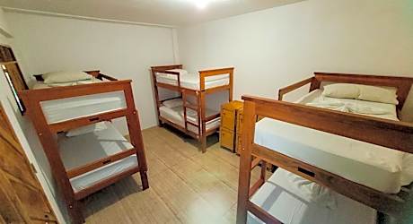 Bunk Bed in Female Dormitory Room