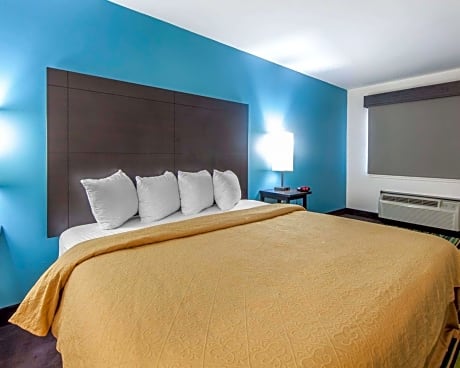 1 King Bed  Suite  Accessible Room  Smoking