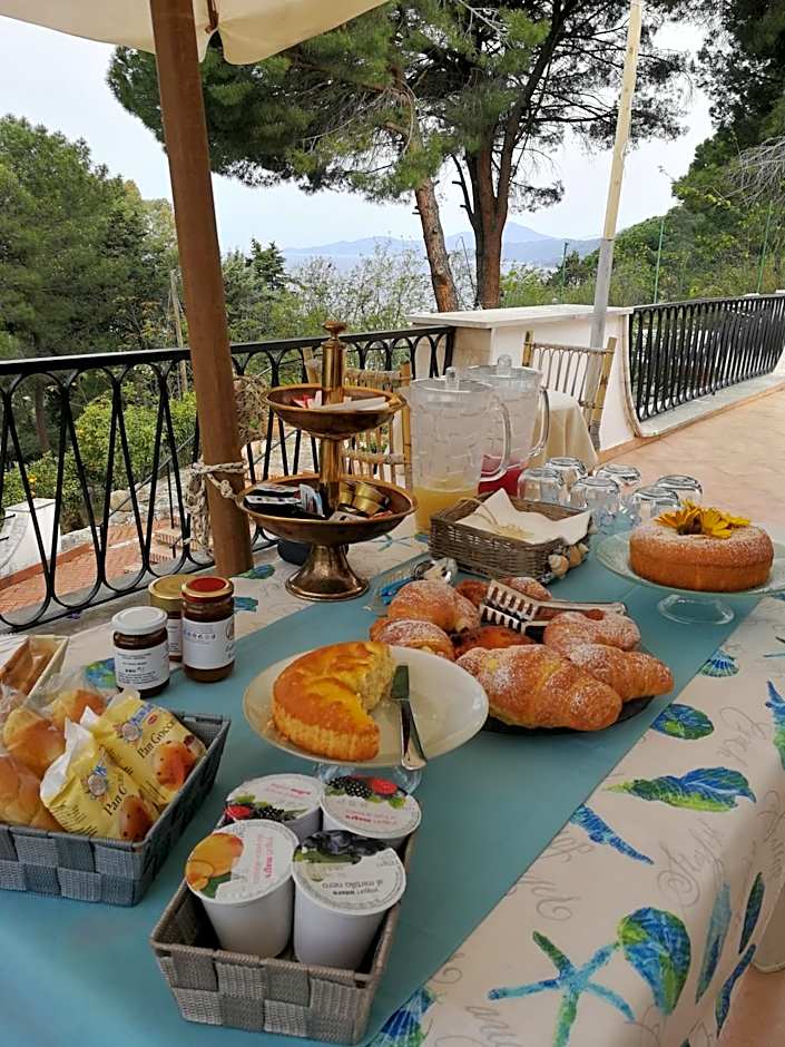 Il Sogno di Vincenzo e Maria