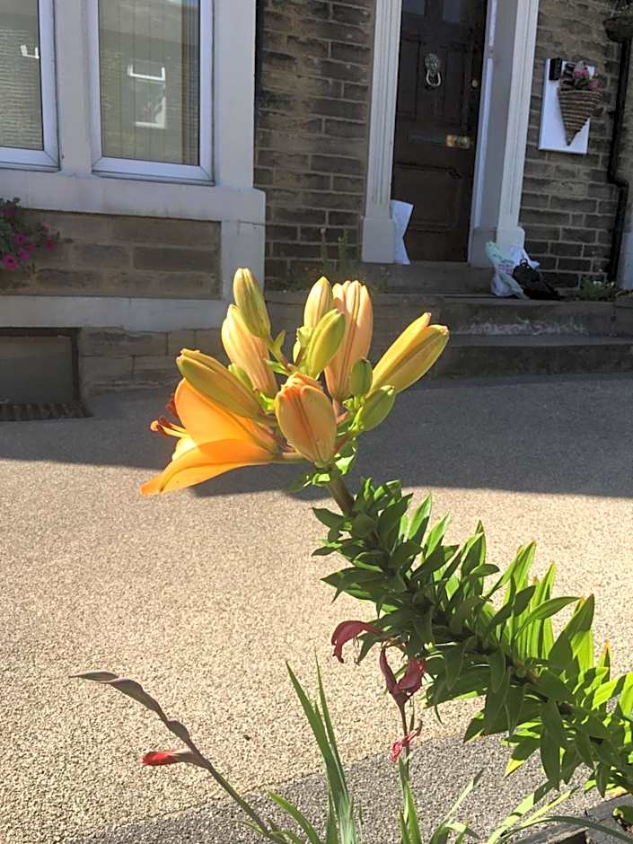 Highfield Guesthouse