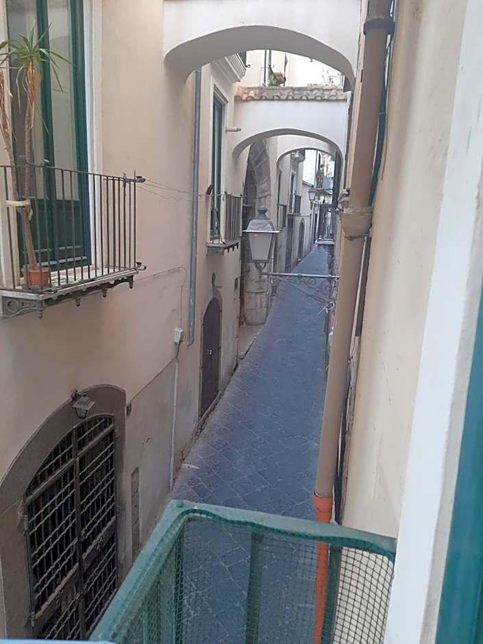 le ginestre in centro